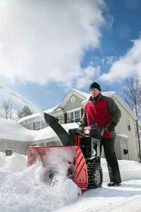 Snow blowers Carver: characteristics and model overview