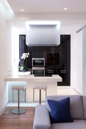 Opciones de diseño de cocina de 11 m2. m con sofá