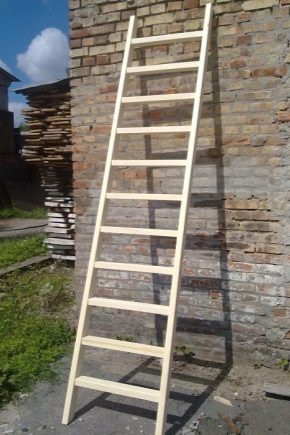 Hoe maak je een ladder met je eigen handen?