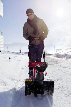 All about AL-KO snow blowers