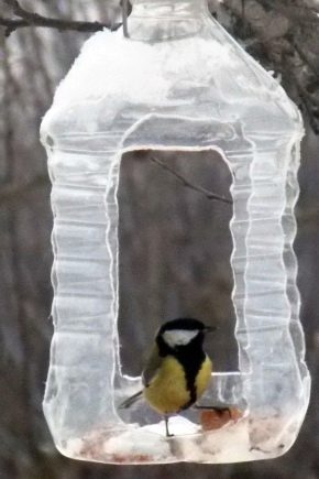 How to make a bird feeder from a 5 liter plastic bottle?