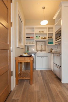 How to make a kitchen in the hallway?