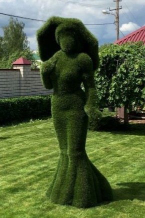 Artificial grass topiary: varieties, recommendations for creating