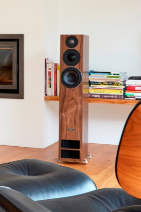 Floor standing speakers: features and varieties