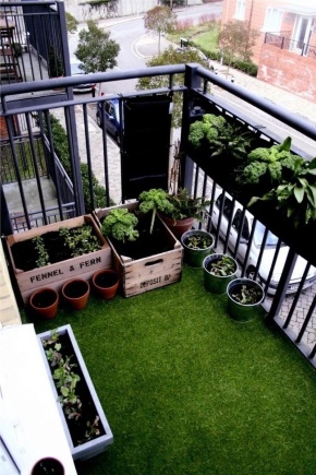 All about lawns on balconies and loggias