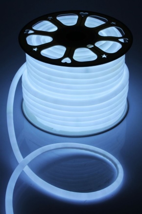 Características de Flexible LED Neon