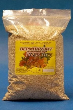 Applicazione di vermiculite per piantine