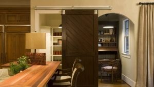 Barn doors: types and features