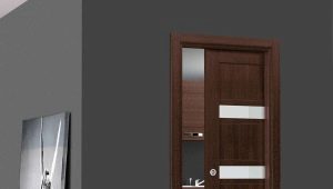 Εσωτερικές πόρτες σε χρώμα wenge: επιλογές για αποχρώσεις στο εσωτερικό