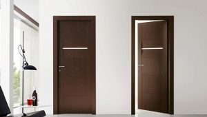 Pros and cons of Krona doors