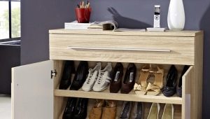 Armoires à chaussures dans le couloir: un détail important à l'intérieur