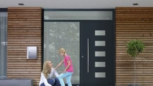 Puertas de entrada de hierro para una casa privada: consejos para elegir.