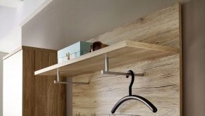 How to choose a panel hanger in the hallway?