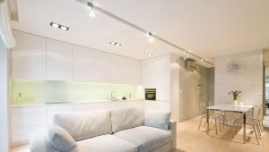 Idee di interior design moderno per un appartamento di due stanze