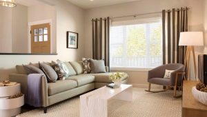 Living room in beige tones: design features