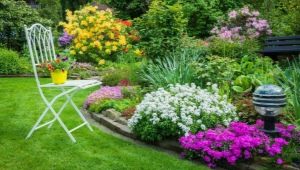 Beautiful flower beds: layout features in landscape design