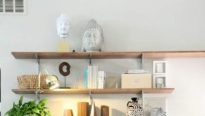 Living room shelves: modern design and practicality