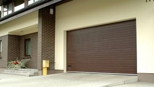 Alutech sectional doors: pros and cons