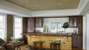 Choosing a bar counter in the living room