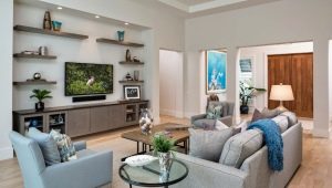Kiezen voor hangende planken in de woonkamer in een moderne stijl