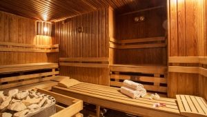 Sauna 6 by 3: layout features