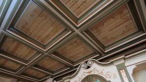 Dřevěné stropy: možnosti designu