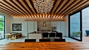 Holzdecke in der Wohnung: schöne Ideen im Interieur