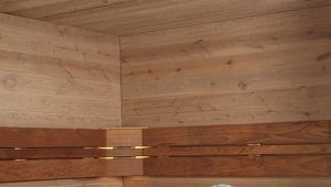  Stufe elettriche per sauna Harvia: panoramica della gamma di prodotti