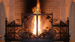 Fireplace grates: features of choice