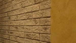 Plâtre de brique: avantages et inconvénients