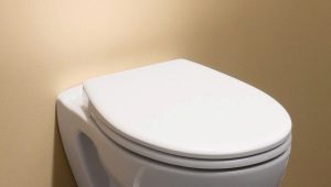 Rimless hanging toilets: pros and cons