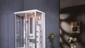 Shower enclosures Appollo: characteristics and assortment