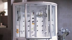 Cabine de duș cu cadă: alegerea modelului și caracteristicile acestuia