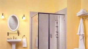 如何为淋浴房选择门：类型和特点