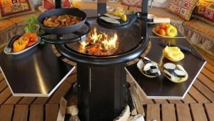 How to choose a wood-fired grill?