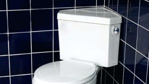 How to choose a corner toilet?