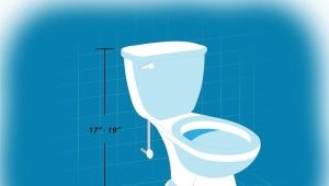 Comfortabele toilethoogte: wat moet het zijn?