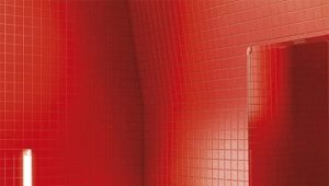 Red toilet: types and design ideas