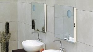 Overhead sinks: types and nuances of choice