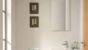 Hängande toalettskålar Ideal Standard: egenskaper