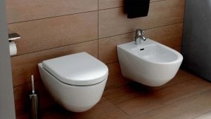 Hanging toilet bowls Laufen: features and advantages of the models