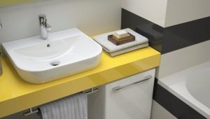 Countertop bathroom sinks: features of choice