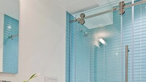 Rideaux de salle de bain coulissants: caractéristiques de conception et conseils d'installation