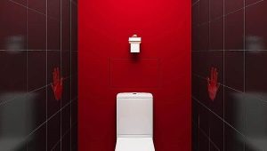 Toilet repair: features and design ideas