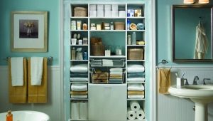 Bathroom wardrobe: types, features of choice and installation