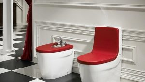 Toilet seat with microlift: what is it and why is it needed?