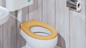 Abattants WC : comment s'adapter ?