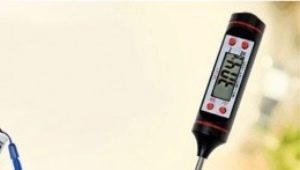 Grillthermometer: Was ist das und wozu dient es?
