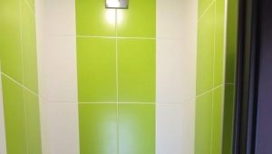 De subtiliteiten van het afwerken van het toilet met kunststof panelen