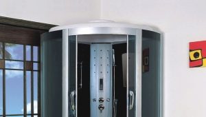 Cabine de duș de colț cu palet: caracteristici la alegere